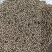 白胡椒产地直销一手货源批发各种中药材香料