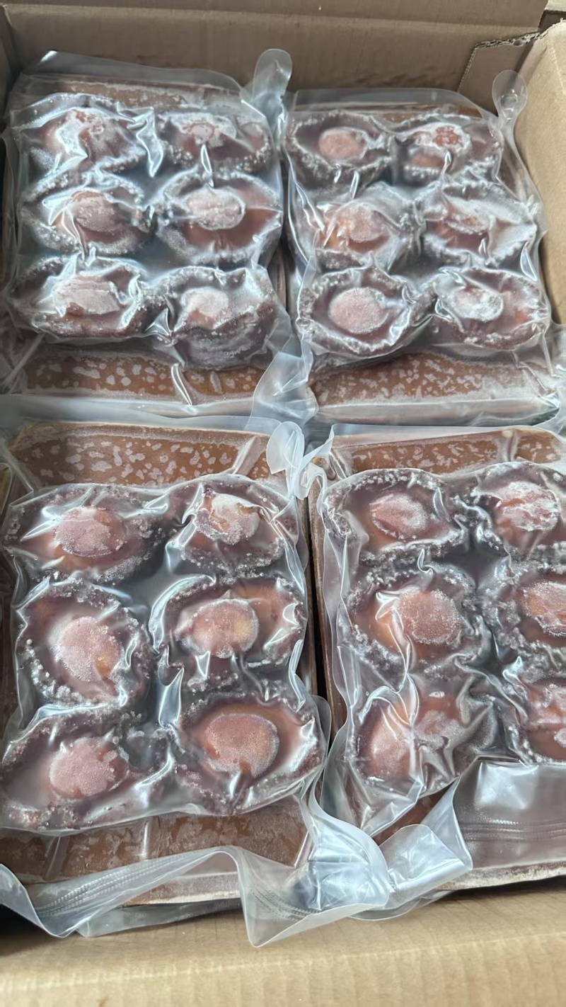 鲍汁鲍鱼，酒店餐饮宴席加热即食