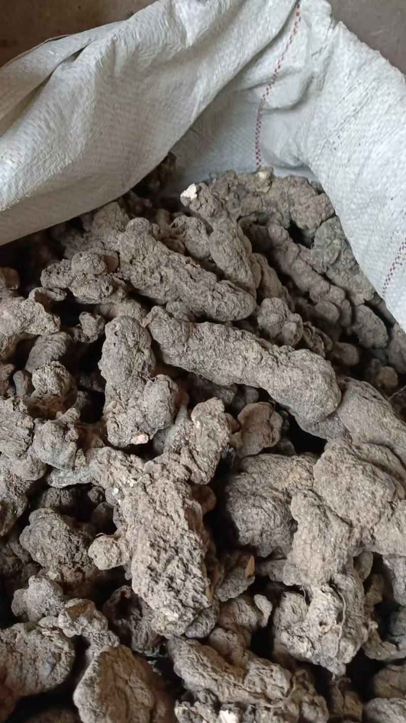陕西汉中产地直销优质猪苓猪苓饮片常年现货