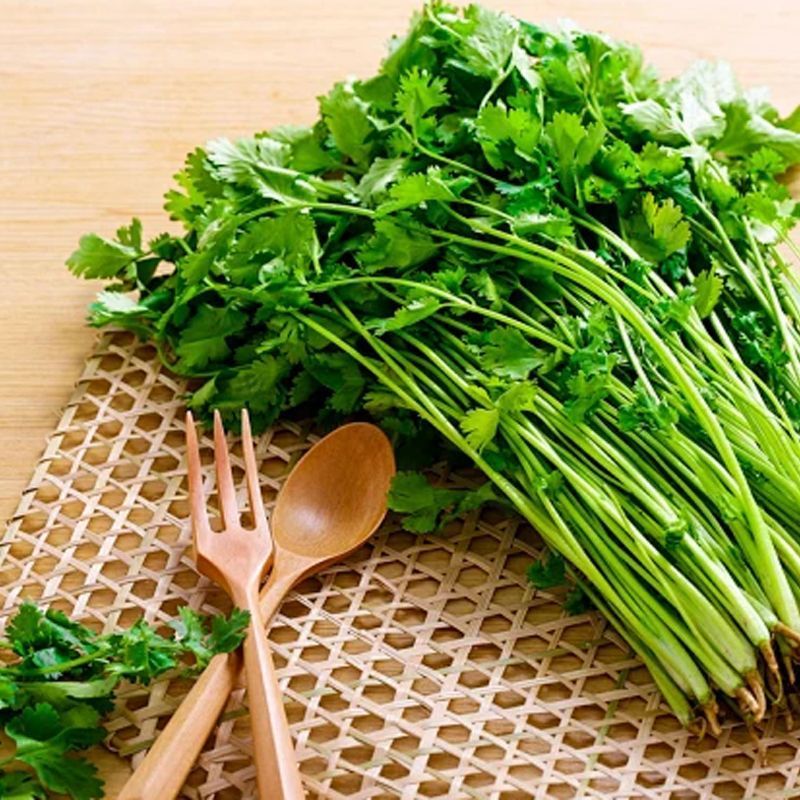 新生产烘干香菜碎，大量现货，适合各行业大佬们使用，