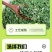 新生产烘干香菜碎，大量现货，适合各行业大佬们使用，
