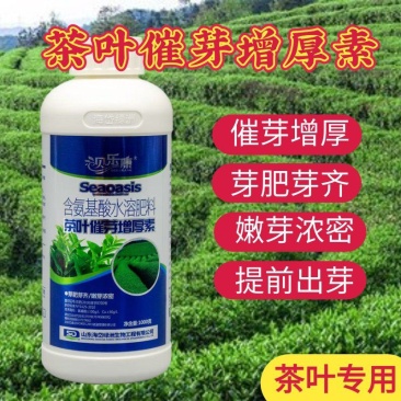 茶叶催芽增厚素芽肥芽齐提前出芽提质增产茶叶专用肥