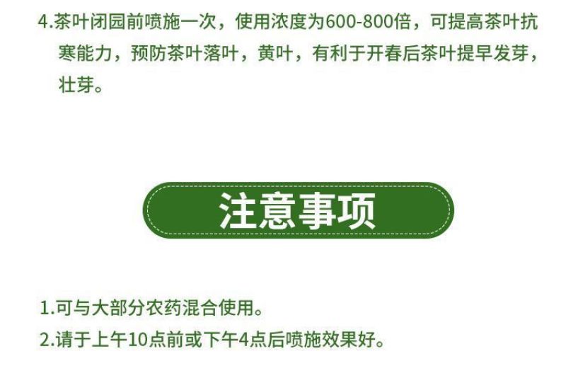 茶叶催芽增厚素芽肥芽齐提前出芽提质增产茶叶专用肥