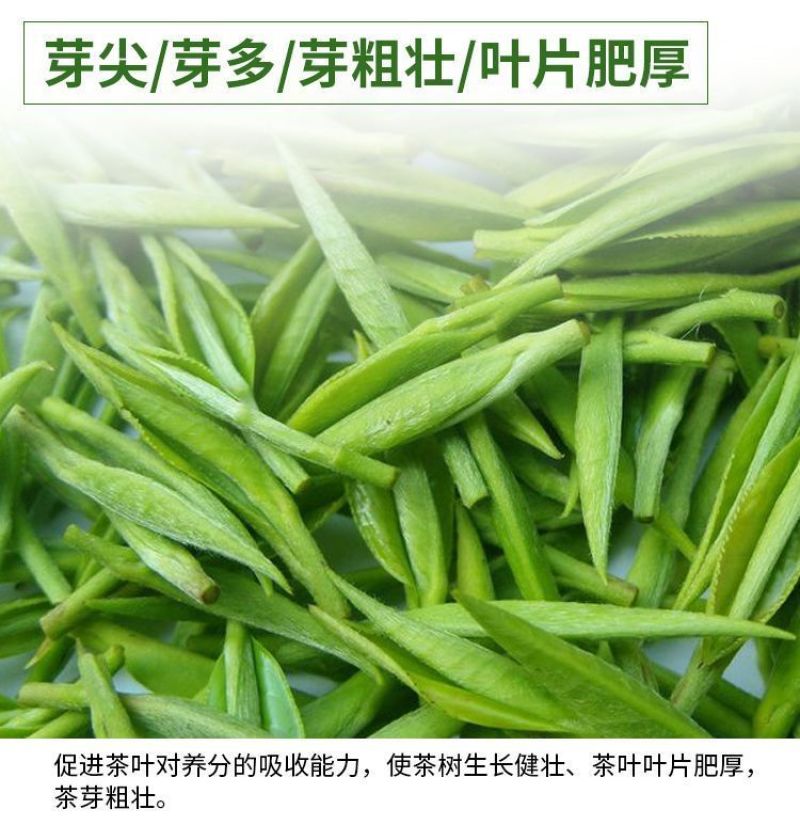 茶叶催芽增厚素芽肥芽齐提前出芽提质增产茶叶专用肥