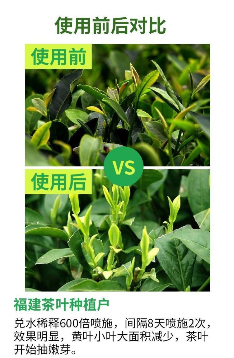 茶叶催芽增厚素芽肥芽齐提前出芽提质增产茶叶专用肥