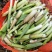高黎贡山高海拔3300米雪山野菜（竹叶菜）