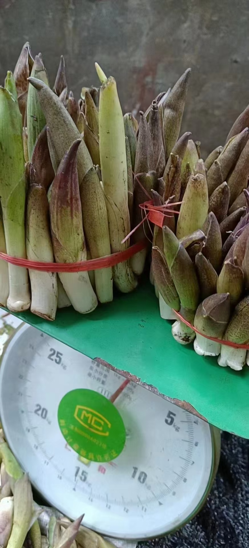 高黎贡山高海拔3300米雪山野菜（竹叶菜）