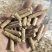 生物质燃烧颗粒燃料厂家直销量大质优价格优惠一手货源