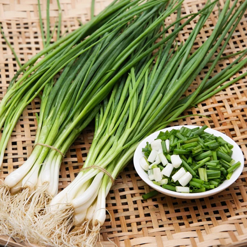 脱水蔬菜葱叶，产地直发量大优惠快来选购可视频看货