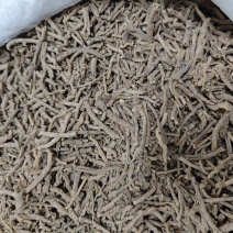 远志，干净，无杂质均匀，安徽亳州产地直供
