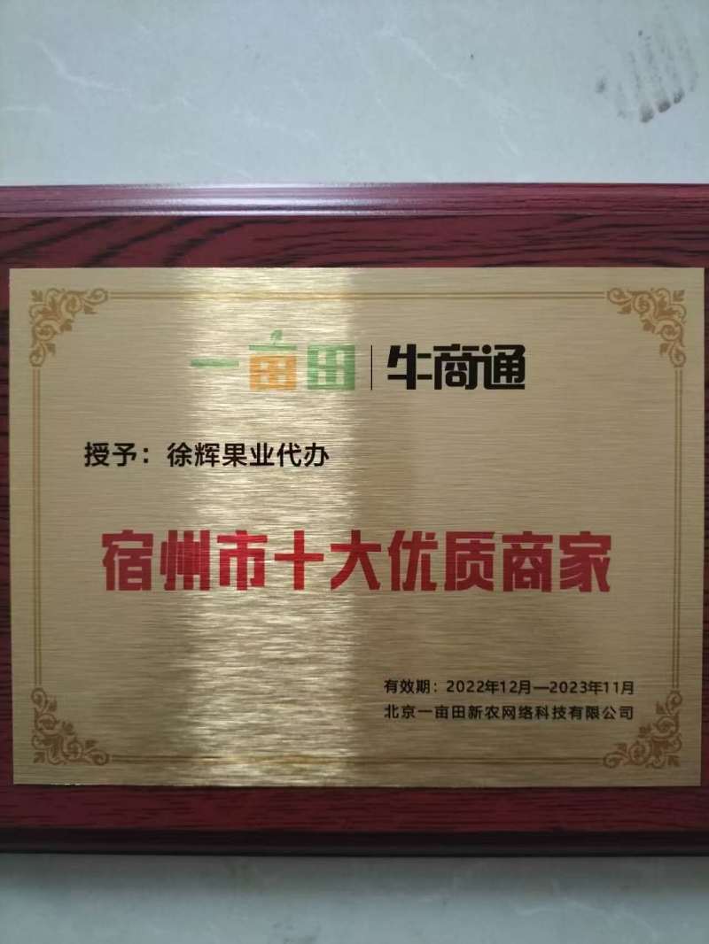 毛桃树苗，实生苗，稼接花卉用苗，根系好，成活率高，