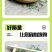 欧芹，新上市欧芹碎，质量杠杠滴，有需要的大神联系