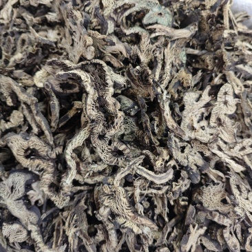 升麻，产地东北，能过全检。四号筛颜色好。均匀