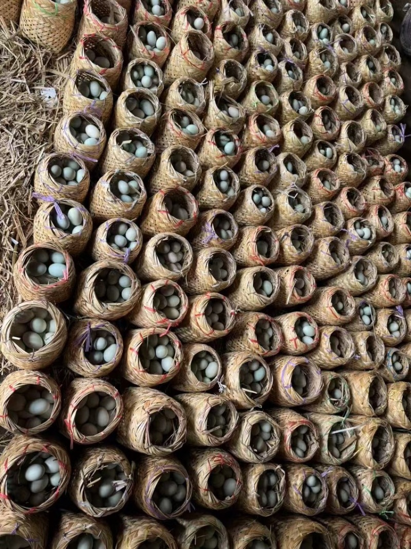 白洋淀篓装咸鸭蛋，烤鸭蛋，工厂直供，质量保证，价格便宜