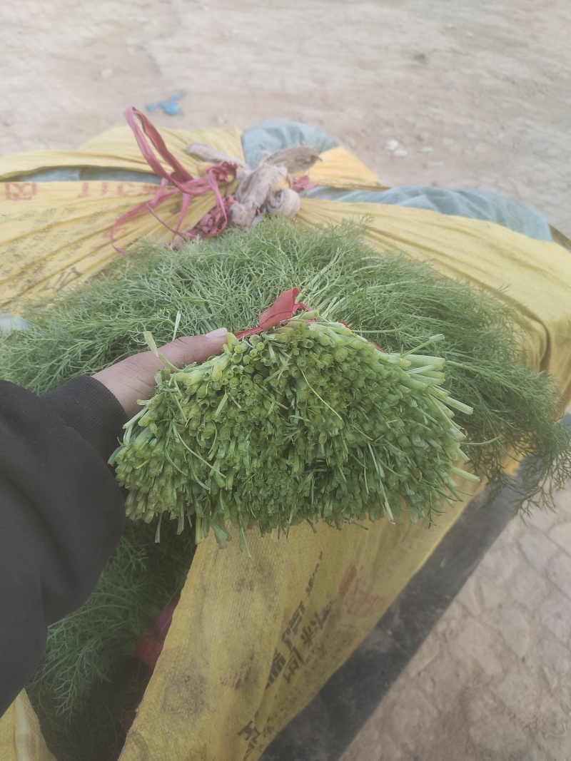 河北衡水扁杆茴香产区直发可按需加工包装欢迎来电洽谈