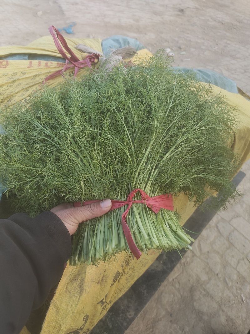 河北衡水扁杆茴香产区直发可按需加工包装欢迎来电洽谈