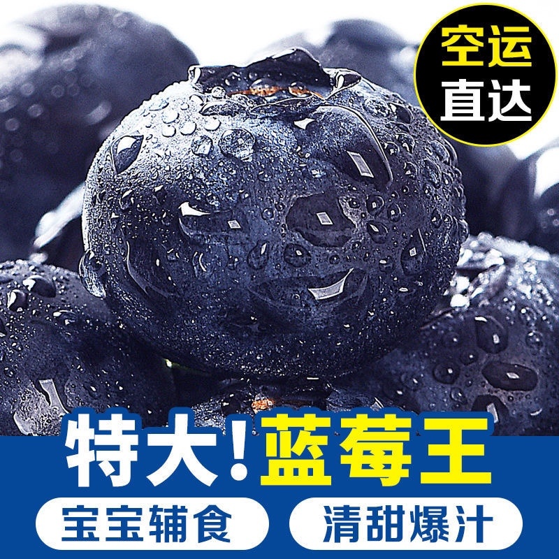 云南蓝莓L25大量现货支持电商平台一件代发团购空运
