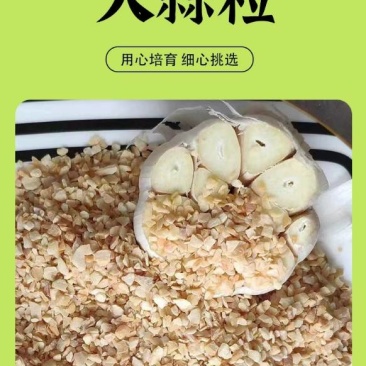 新鲜蒜粒，香味浓郁，营养丰富，健康美味，家庭必备，限
