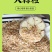 新鲜蒜粒，香味浓郁，营养丰富，健康美味，家庭必备，限