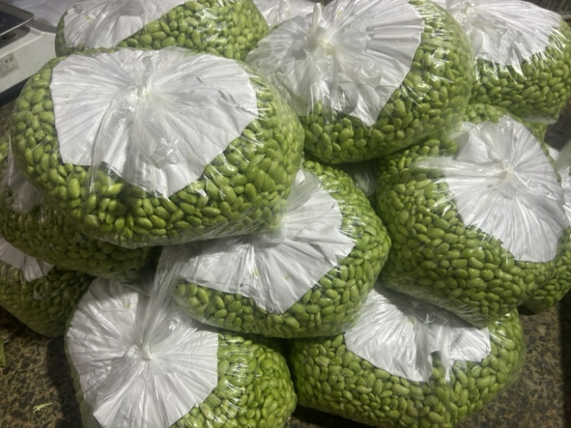 大量有货，新鲜！