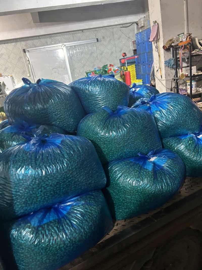 大量有货，新鲜！