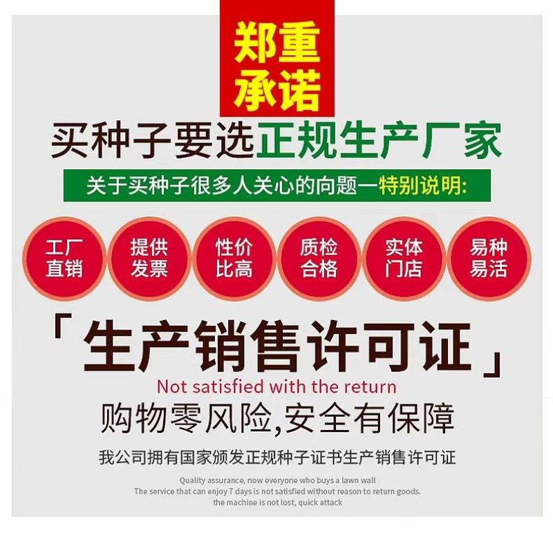 射干种子盆栽地栽四季易种耐寒耐旱庭院绿化工程绿化