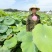 零添加鲜莲米