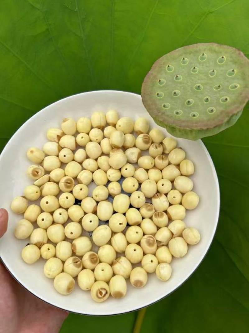 零添加鲜莲米