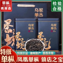 【已售200万】新茶凤凰单丛茶鸭屎香潮州乌岽茶特级乌龙茶