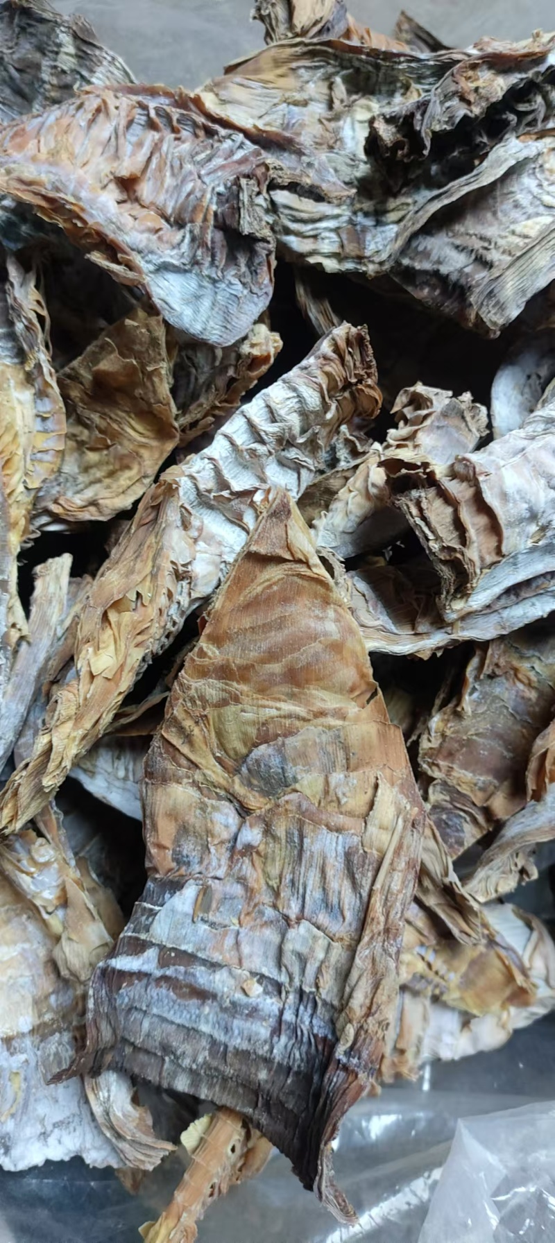 年味不腻，全靠笋干！高纤维刮油解腻，天然鲜爽护肠胃