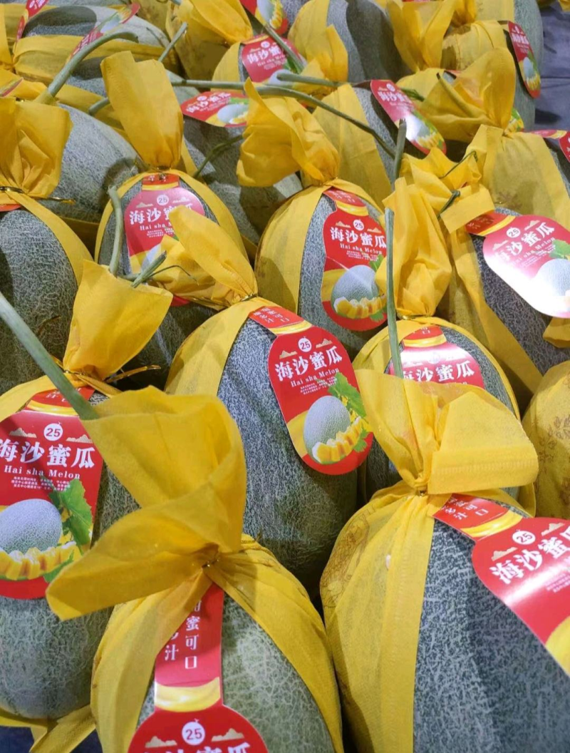 网纹瓜（海南哈密瓜）现摘现发，量大从优，欢迎来电洽谈咨询