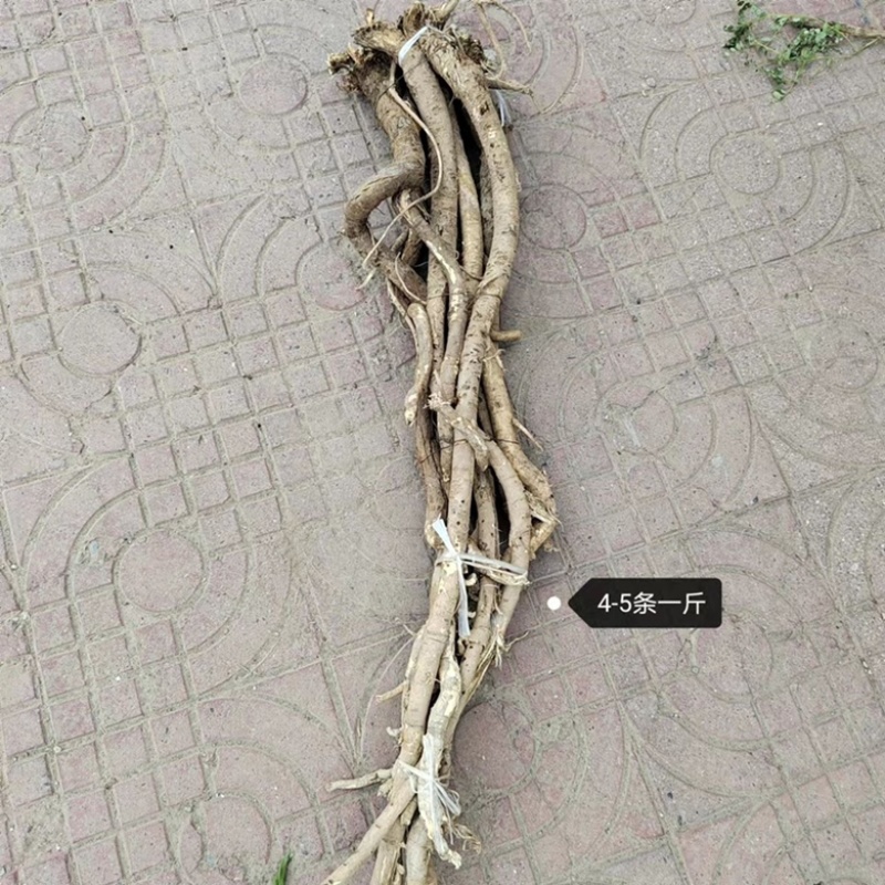 甘肃野生黄芪整根纯真野生无添加黄芪中药材***黄芪批发