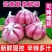 正宗云南紫皮大蒜红皮多瓣蒜大头蒜红蒜2025现挖农家新鲜食用