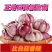 正宗云南紫皮大蒜红皮多瓣蒜大头蒜红蒜2025现挖农家新鲜食用