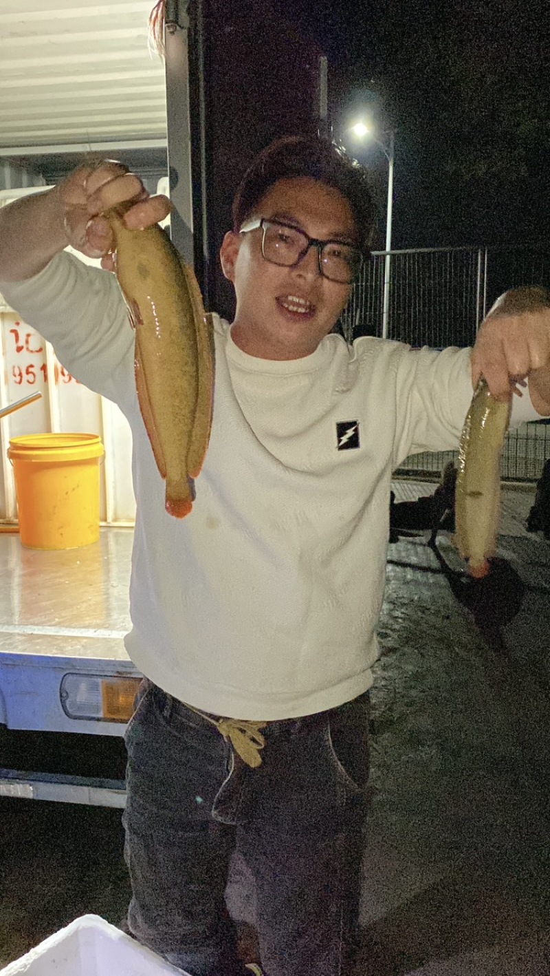 本地花麻塘虱王鱼苗塘角鱼胡子鲶鱼苗好养活包损包活包赔