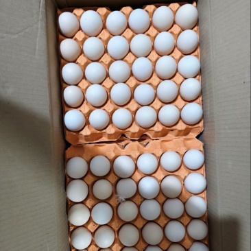 精品鲜鸡蛋，土鸡蛋粉蛋一手货源价格美丽！！！