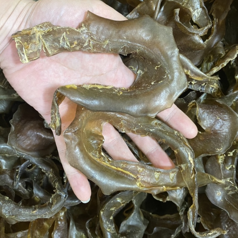甲鱼裙边干货16头25头35头45头现货供应