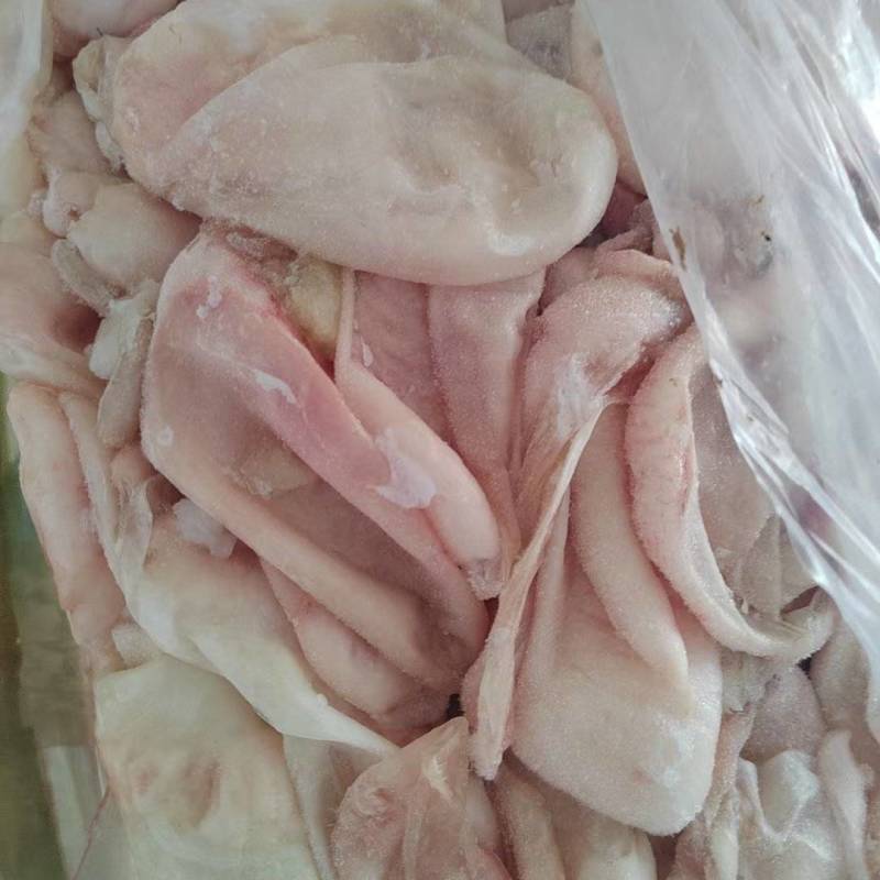 花鲢鱼l內泡5公斤装欢迎合作共赢