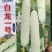黄瓜种子白丽白龙一号雪白个头大结黄瓜多肉质柔嫩味甜