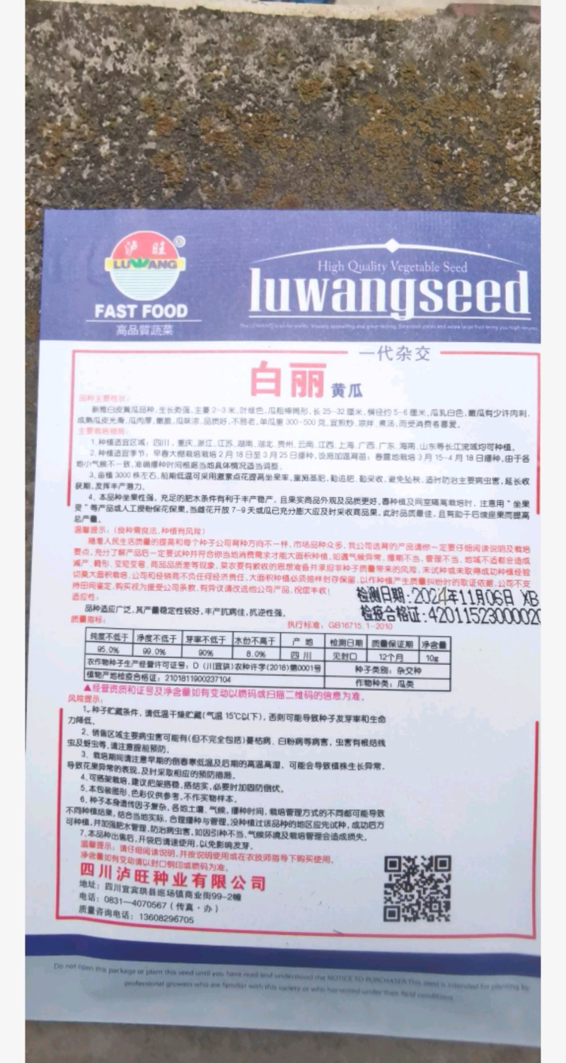 黄瓜种子白丽白龙一号雪白个头大结黄瓜多肉质柔嫩味甜