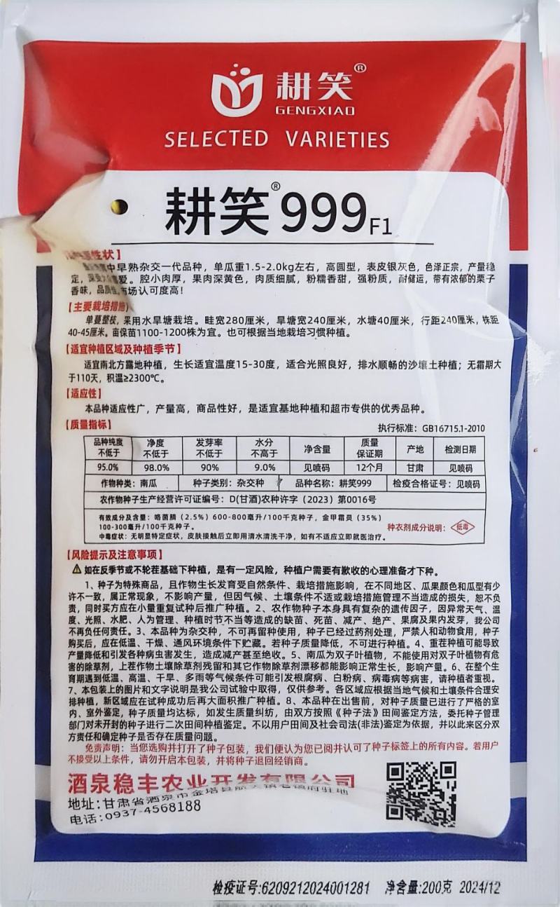 银栗南瓜种子，耕笑999银板栗南瓜种子皮色亮肉金黄耐储运
