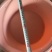竹笋虫专用