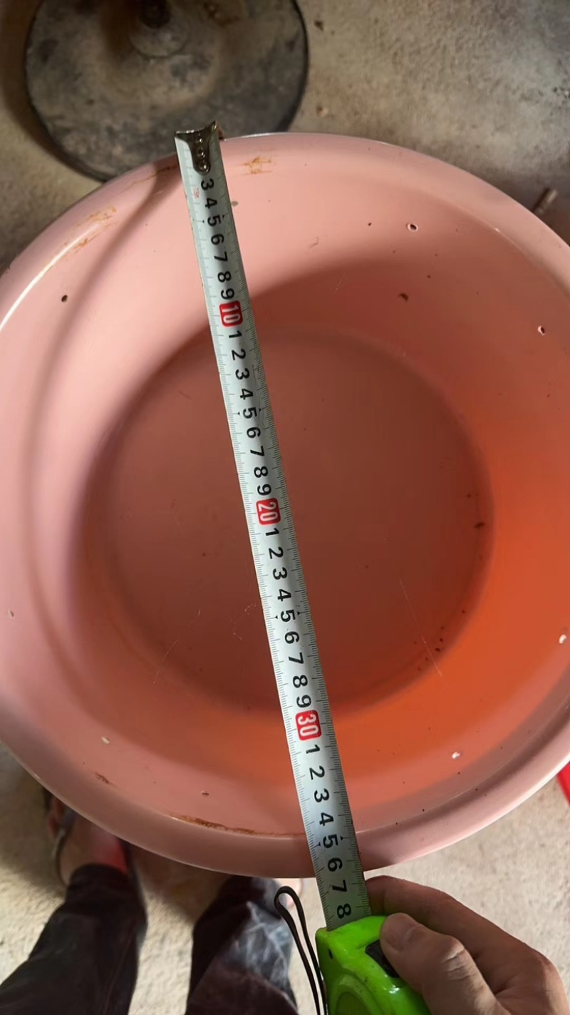 竹笋虫专用