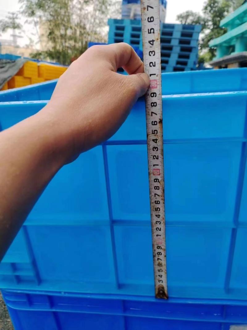 竹笋虫专用