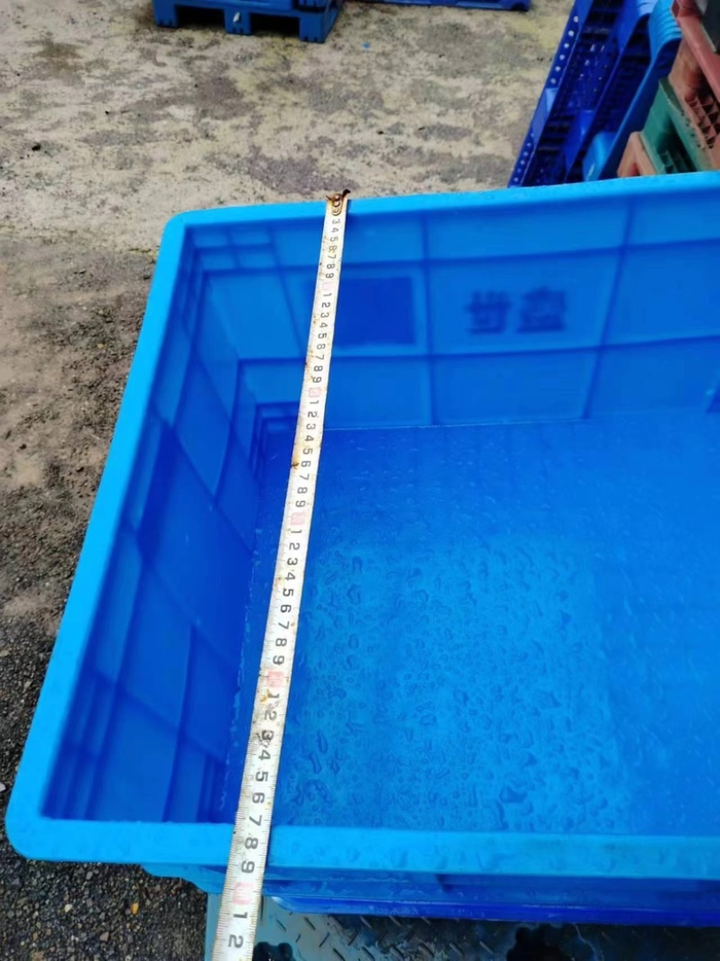竹笋虫专用