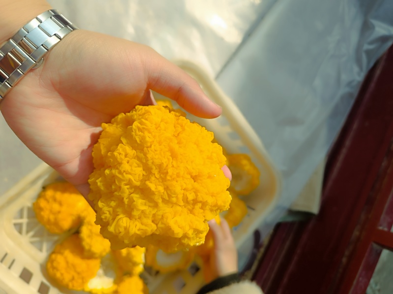 金耳菌鲜品，有需要的直接电话联系我。