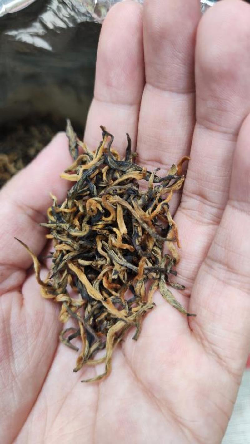 5A级滇红金丝云南滇红茶2024特级新茶凤庆高山古树红茶
