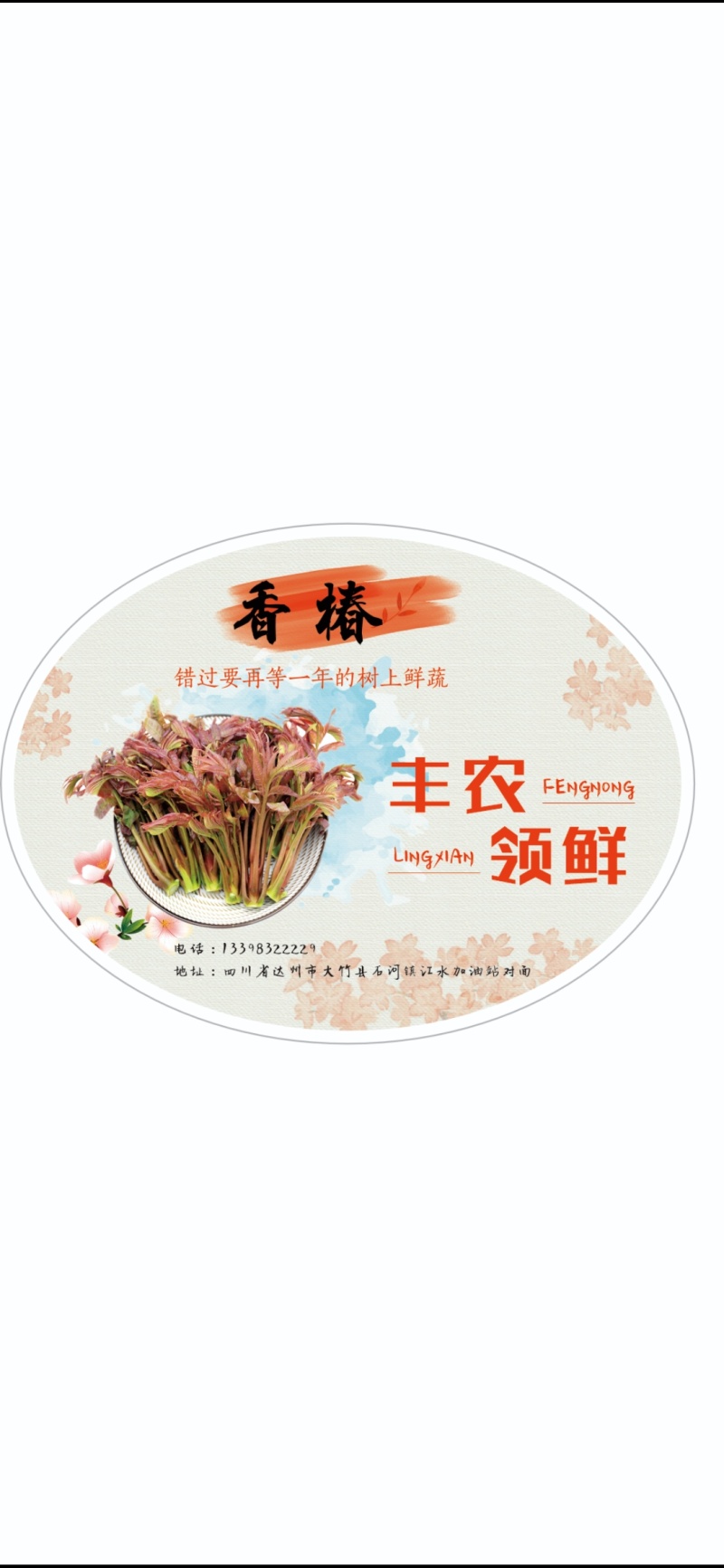 香椿芽红香椿叶四川达州大量现货供应全国发货联系电话沟通