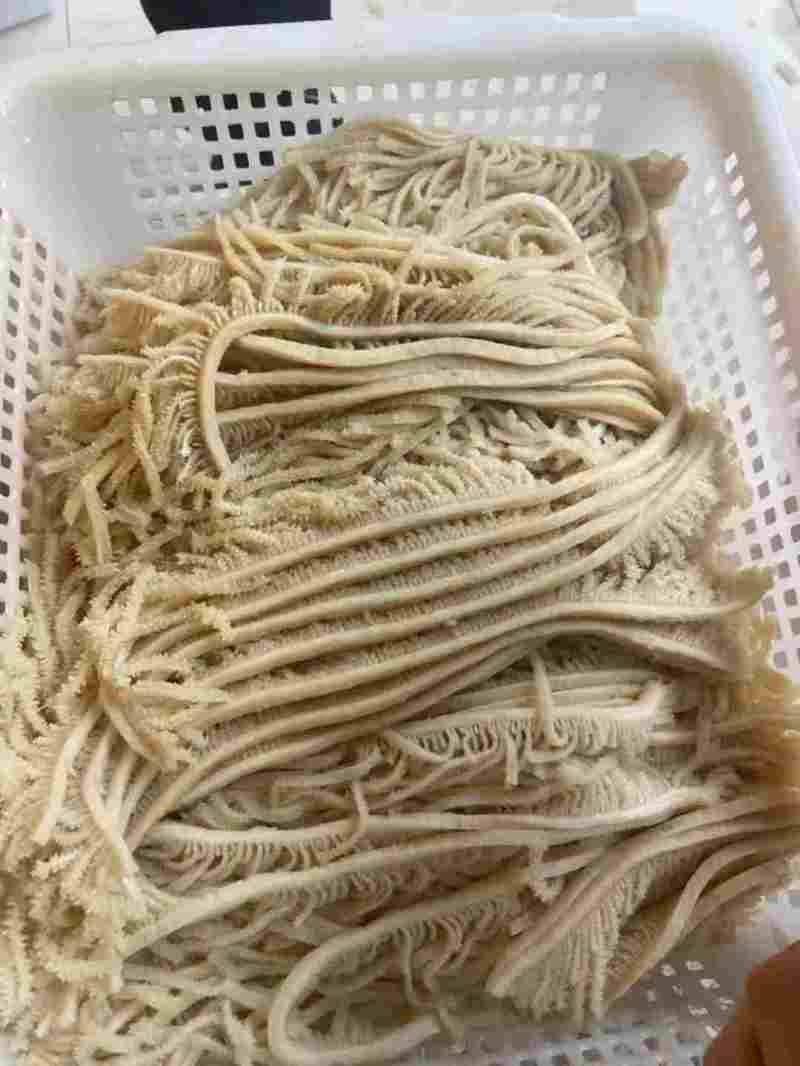 水煮千层肚牛百叶冷冻保存全国发货品质保证