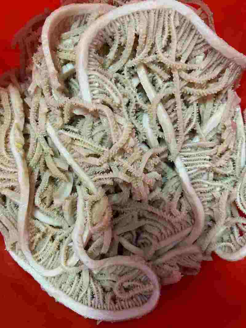 水煮千层肚牛百叶冷冻保存全国发货品质保证
